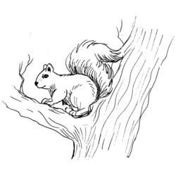 着色页: 松鼠 (动物) #6154 - 免费可打印着色页
