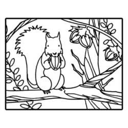 着色页: 松鼠 (动物) #6159 - 免费可打印着色页