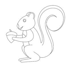 着色页: 松鼠 (动物) #6176 - 免费可打印着色页