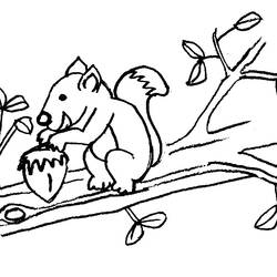 着色页: 松鼠 (动物) #6194 - 免费可打印着色页