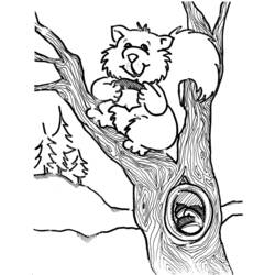 着色页: 松鼠 (动物) #6204 - 免费可打印着色页