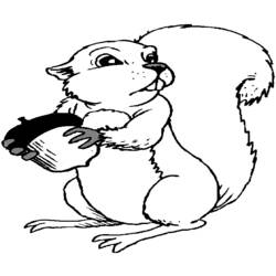 着色页: 松鼠 (动物) #6228 - 免费可打印着色页