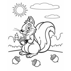 着色页: 松鼠 (动物) #6239 - 免费可打印着色页