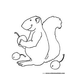 着色页: 松鼠 (动物) #6250 - 免费可打印着色页