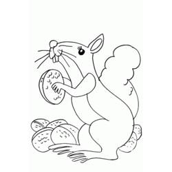 着色页: 松鼠 (动物) #6256 - 免费可打印着色页