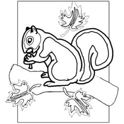 着色页: 松鼠 (动物) #6278 - 免费可打印着色页