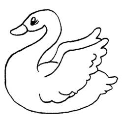 着色页: 天鹅 (动物) #5004 - 免费可打印着色页