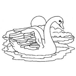 着色页: 天鹅 (动物) #5014 - 免费可打印着色页