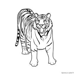 着色页: 老虎 (动物) #13595 - 免费可打印着色页
