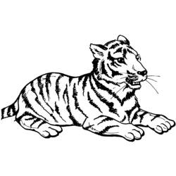 着色页: 老虎 (动物) #13597 - 免费可打印着色页