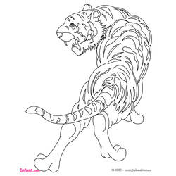 着色页: 老虎 (动物) #13600 - 免费可打印着色页