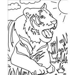 着色页: 老虎 (动物) #13602 - 免费可打印着色页