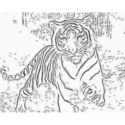 着色页: 老虎 (动物) #13606 - 免费可打印着色页