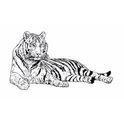 着色页: 老虎 (动物) #13607 - 免费可打印着色页