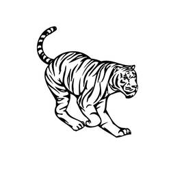 着色页: 老虎 (动物) #13611 - 免费可打印着色页
