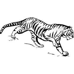 着色页: 老虎 (动物) #13613 - 免费可打印着色页