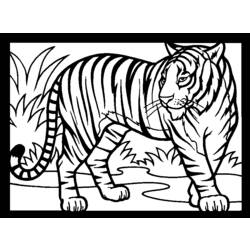 着色页: 老虎 (动物) #13615 - 免费可打印着色页