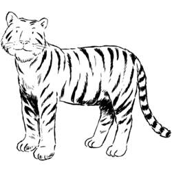 着色页: 老虎 (动物) #13621 - 免费可打印着色页