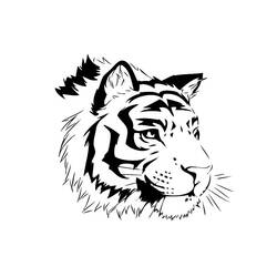 着色页: 老虎 (动物) #13631 - 免费可打印着色页