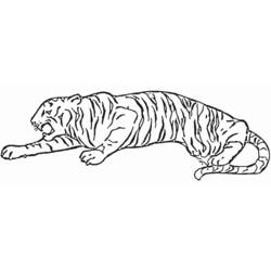 着色页: 老虎 (动物) #13637 - 免费可打印着色页