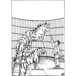 着色页: 老虎 (动物) #13646 - 免费可打印着色页