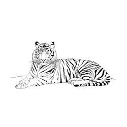 着色页: 老虎 (动物) #13676 - 免费可打印着色页