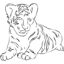 着色页: 老虎 (动物) #13701 - 免费可打印着色页