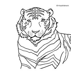 着色页: 老虎 (动物) #13772 - 免费可打印着色页