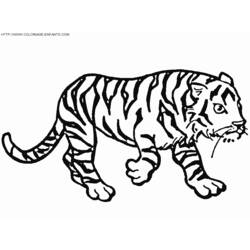 着色页: 老虎 (动物) #13781 - 免费可打印着色页