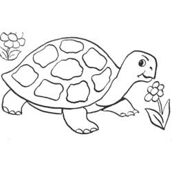 着色页: 龟 (动物) #13391 - 免费可打印着色页