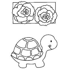 着色页: 龟 (动物) #13402 - 免费可打印着色页