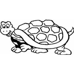 着色页: 龟 (动物) #13406 - 免费可打印着色页