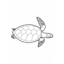 着色页: 龟 (动物) #13421 - 免费可打印着色页
