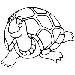 着色页: 龟 (动物) #13423 - 免费可打印着色页