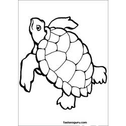 着色页: 龟 (动物) #13429 - 免费可打印着色页