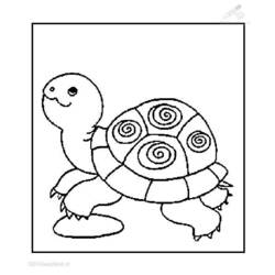 着色页: 龟 (动物) #13432 - 免费可打印着色页