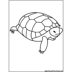 着色页: 龟 (动物) #13436 - 免费可打印着色页