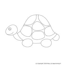 着色页: 龟 (动物) #13437 - 免费可打印着色页
