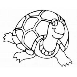 着色页: 龟 (动物) #13448 - 免费可打印着色页