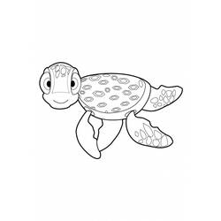 着色页: 龟 (动物) #13455 - 免费可打印着色页