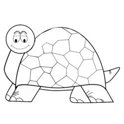 着色页: 龟 (动物) #13464 - 免费可打印着色页