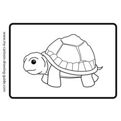 着色页: 龟 (动物) #13466 - 免费可打印着色页