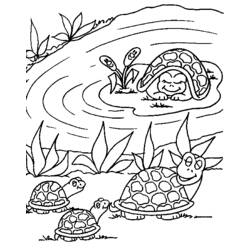 着色页: 龟 (动物) #13468 - 免费可打印着色页