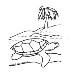 着色页: 龟 (动物) #13469 - 免费可打印着色页