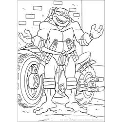 着色页: 龟 (动物) #13475 - 免费可打印着色页