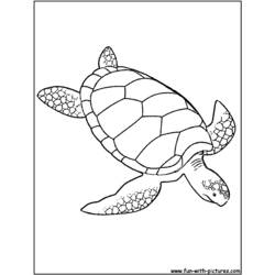 着色页: 龟 (动物) #13485 - 免费可打印着色页