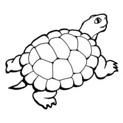着色页: 龟 (动物) #13514 - 免费可打印着色页