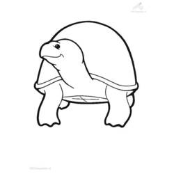 着色页: 龟 (动物) #13526 - 免费可打印着色页