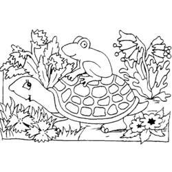 着色页: 龟 (动物) #13557 - 免费可打印着色页