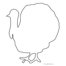 着色页: 火鸡 (动物) #5317 - 免费可打印着色页